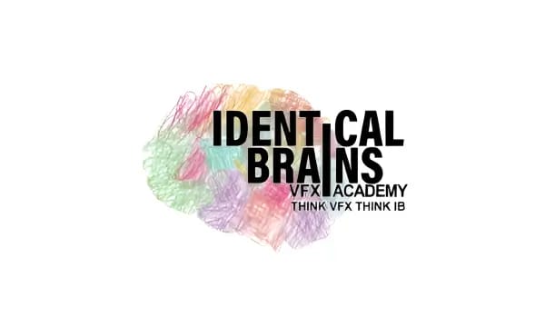 Identical Brains Studios IPO